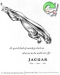 Jaguar 1960 0.jpg